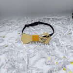 Παπιγιόν Superman