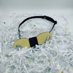 Παπιγιόν Μουστάκι