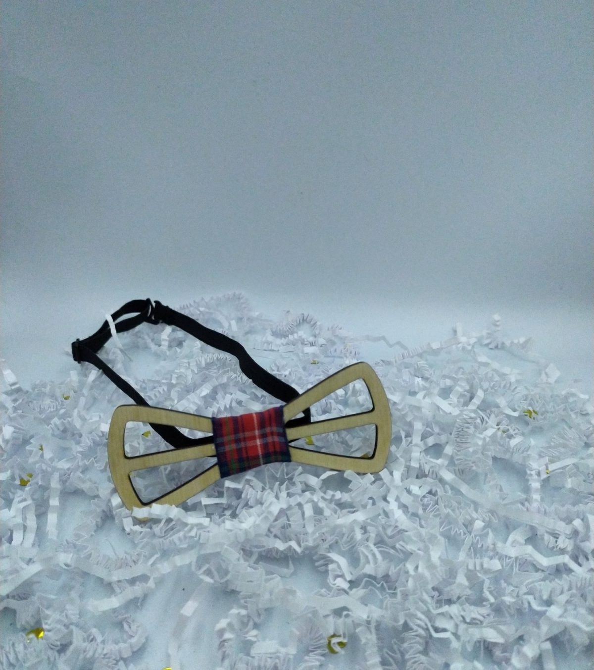 244282317_272126791428413_3834991339225468935_n Παπιγιόν - Image 1