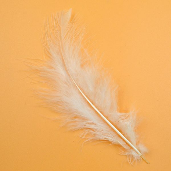 Φτερά διακοσμητικά λευκά 12εκ. Διάφορα woodworld