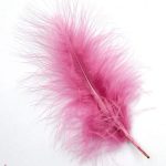 Φτερά διακοσμητικά σάπιο μήλο 12εκ.