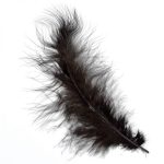 Φτερά διακοσμητικά μαύρα 12εκ.