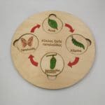 Εκπαιδευτικό Ξύλινο πάζλ "κύκλος ζωής πεταλούδας"