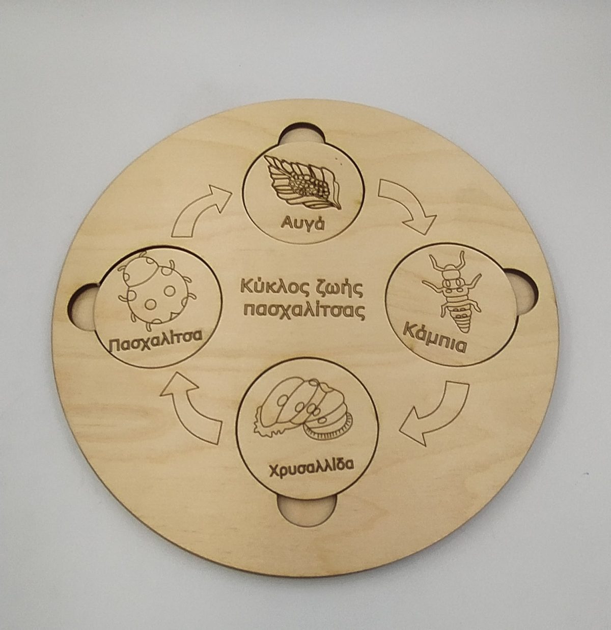 Εκπαιδευτικό Ξύλινο πάζλ "κύκλος ζωής Πασχαλίτσας" - Image 2