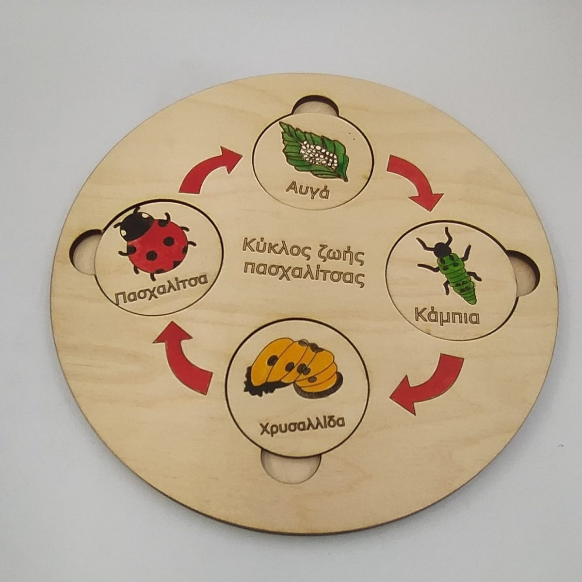 Εκπαιδευτικό Ξύλινο πάζλ "κύκλος ζωής Πασχαλίτσας" - Image 1