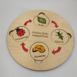 Εκπαιδευτικό Ξύλινο πάζλ "κύκλος ζωής Πασχαλίτσας"