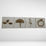 Κύκλος ζωής μήλου