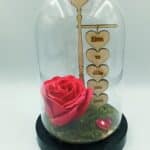 καμπάνα plexiglass με soap rose