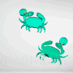 Σκουλαρίκια Plexiglass καβουράκι